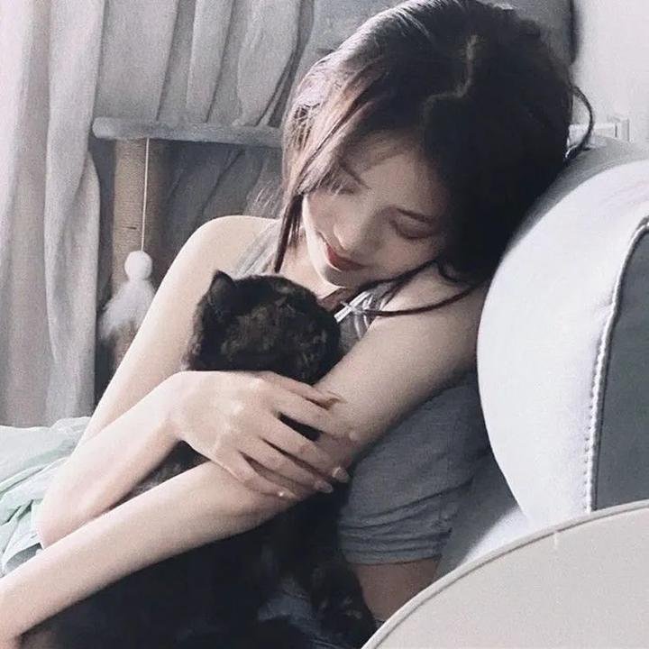血溅金粉狱